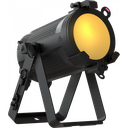 1200x1200ECLPARIPSFC_35107.webp